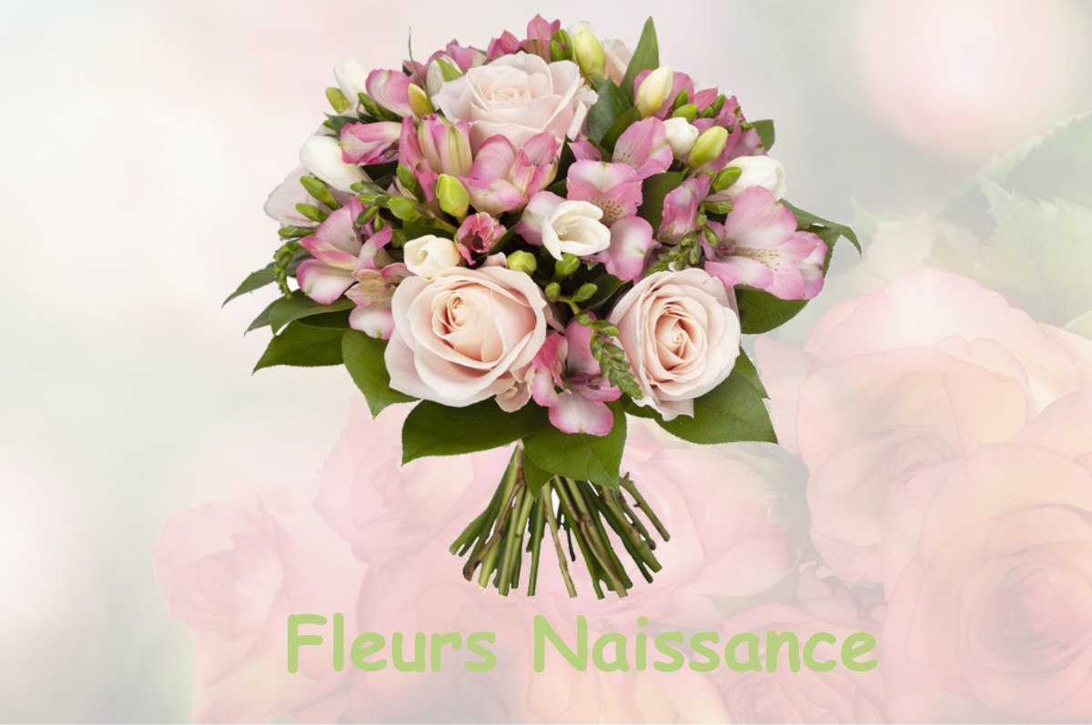 fleurs naissance LA-FORET-AUVRAY